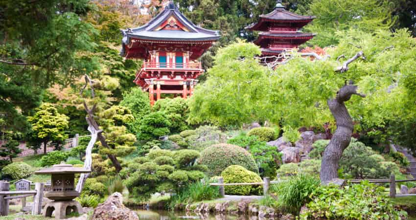 Traditional Japanese building surrounded by beautiful trees in San Francisco's Japanese Tea Garden.