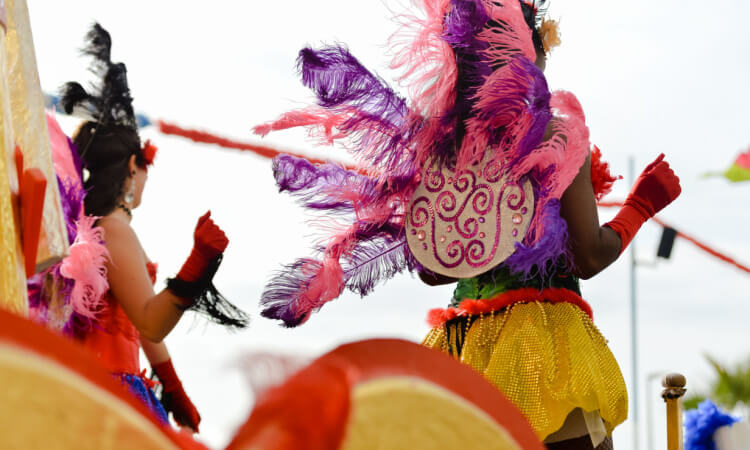 People dressed in costumes at a carnaval parade